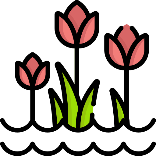 Tulips Special Lineal color icon