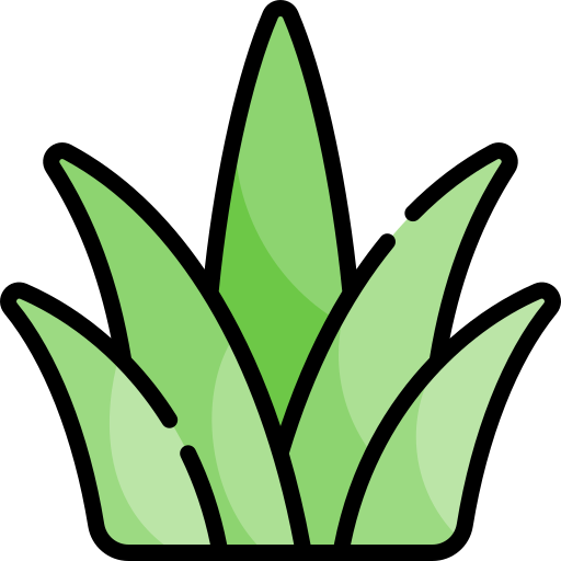 Grass Kawaii Lineal color icon