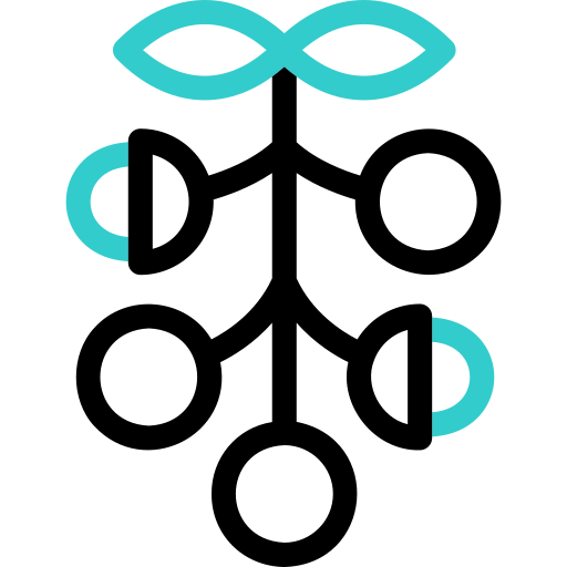 longán Basic Accent Outline icono
