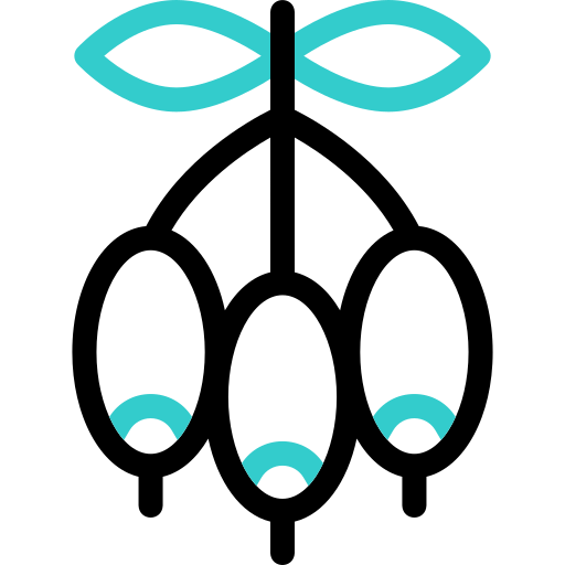ドッグローズ Basic Accent Outline icon