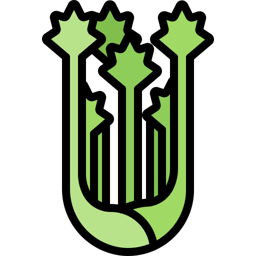 Celery Coloring Color icon