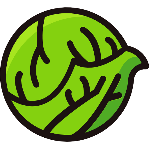 Lettuce Good Ware Lineal Color icon