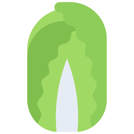 양배추 Coloring Flat icon