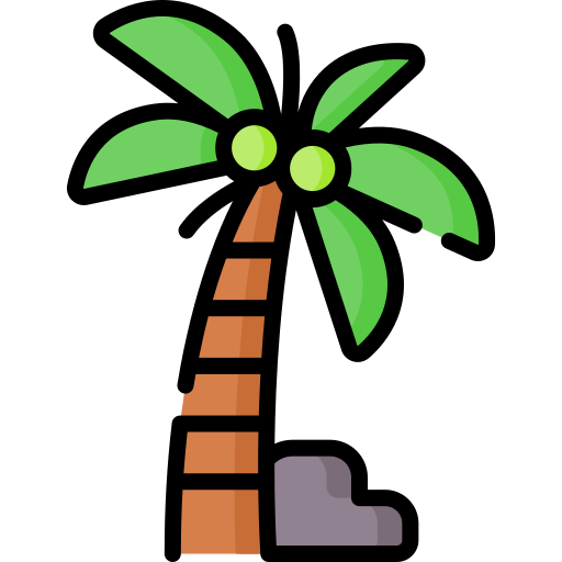drzewo kokosowe Special Lineal color ikona