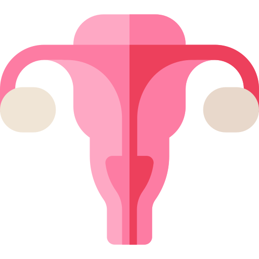 utérus Basic Rounded Flat Icône