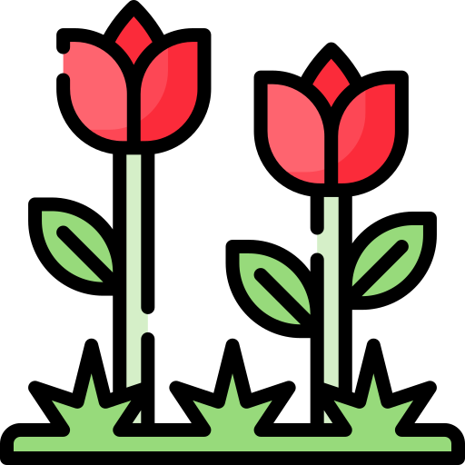 Flower Special Lineal color icon