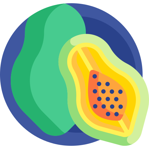 papaya Detailed Flat Circular Flat icon