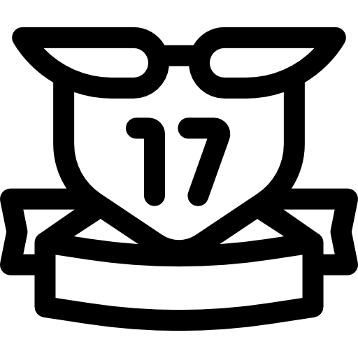 nastri Basic Rounded Lineal icona