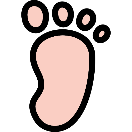 Footprint Generic Outline Color icon