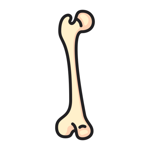 Bone Generic Outline Color icon