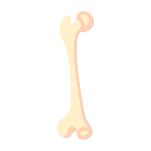Bone Generic Flat icon
