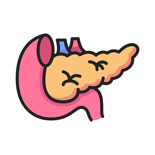 Pancreas Generic Outline Color icon