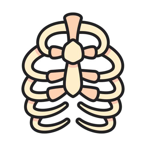 Rib cage Generic Outline Color icon