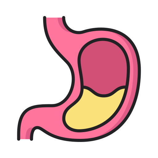 Stomach Generic Outline Color icon