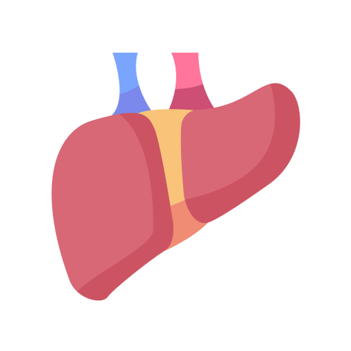 Liver Generic Flat icon