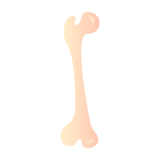 Bone Generic Flat Gradient icon