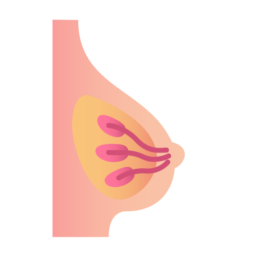 Breast Generic Flat Gradient icon