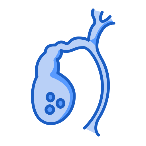 Gallbladder Generic Blue icon