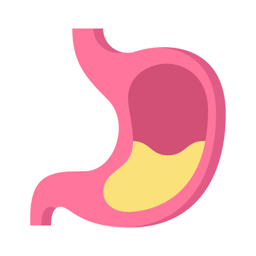 estómago Generic Flat icono