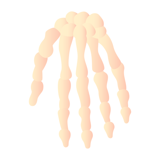 Hand bones Generic Flat Gradient icon