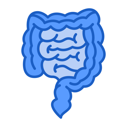spijsverteringsstelsel Generic Blue icoon