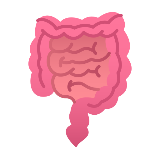 Digestive system Generic Flat Gradient icon