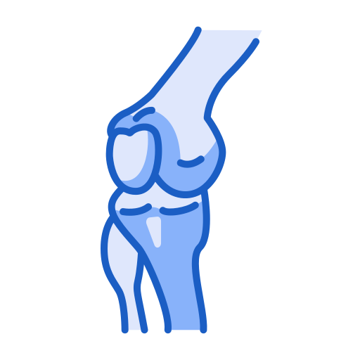 Knee Generic Blue icon