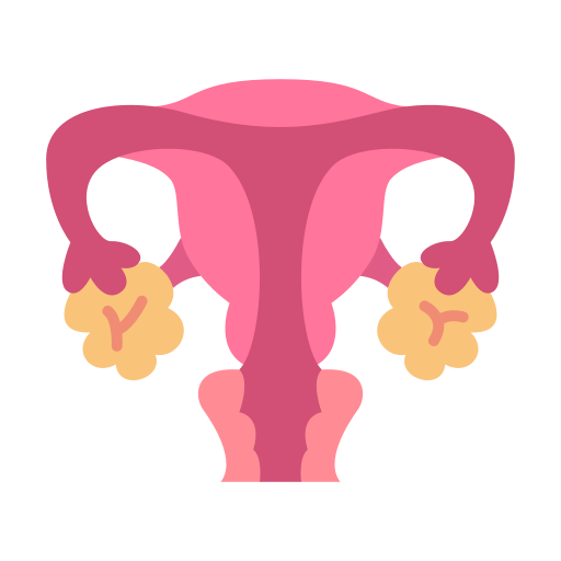 Uterus Generic Flat icon