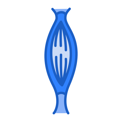 мышцы Generic Blue иконка