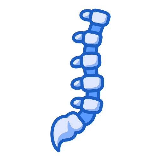 columna vertebral Generic Blue icono