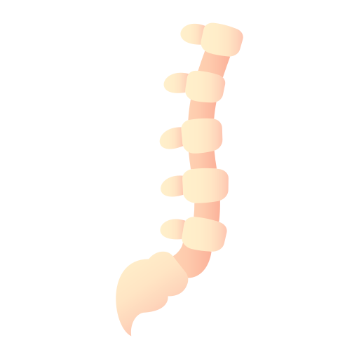 columna vertebral Generic Flat Gradient icono