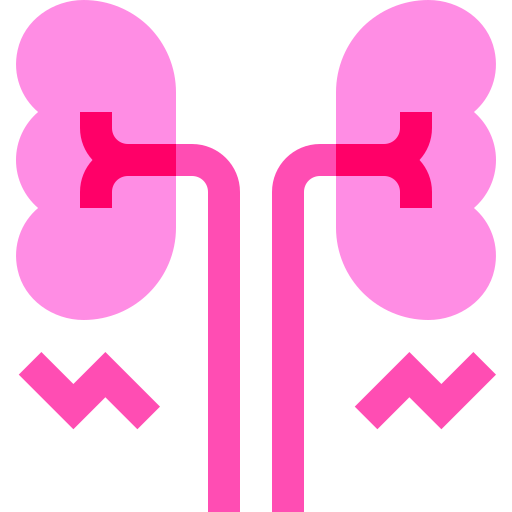 Kidney Basic Sheer Flat icon