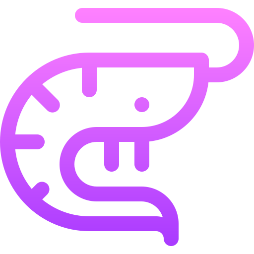 Prawn Basic Gradient Lineal color icon
