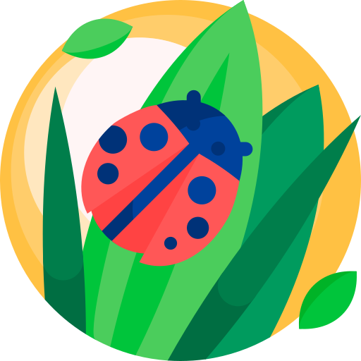 Ladybug Detailed Flat Circular Flat icon