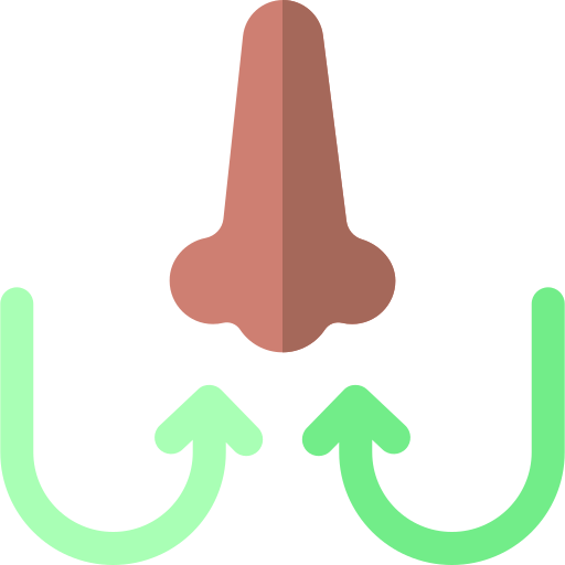 inhalar Basic Rounded Flat icono