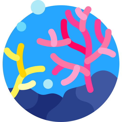koraalrif Detailed Flat Circular Flat icoon
