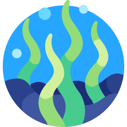 alga marina Detailed Flat Circular Flat icona