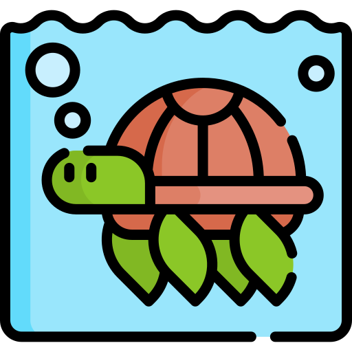 tortuga Special Lineal color icono