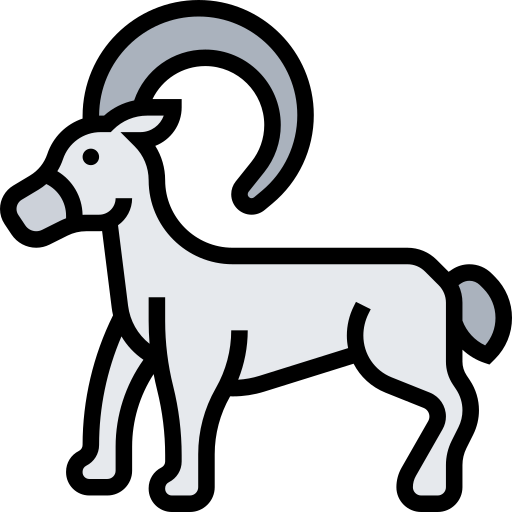 ram Meticulous Lineal Color icon