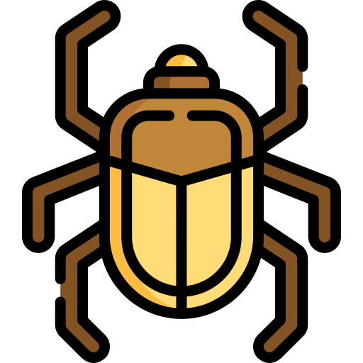 甲虫 Special Lineal color icon