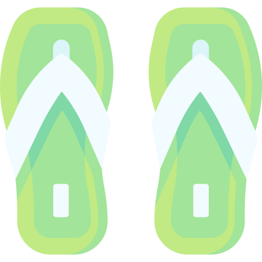 Flip flops Special Flat icon