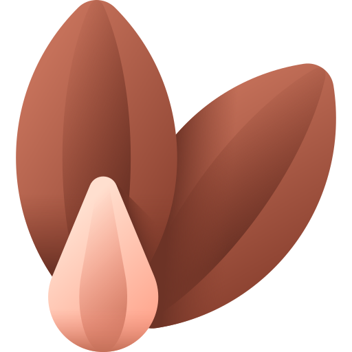 種子 3D Color icon