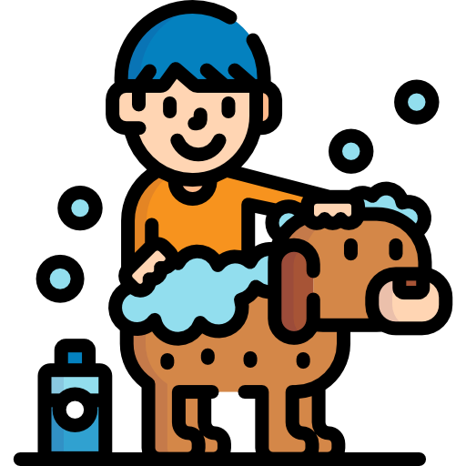 Bathing Special Lineal color icon