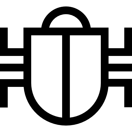 バグ Basic Straight Lineal icon