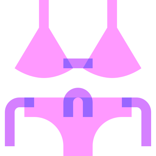 Bikini Basic Sheer Flat icon