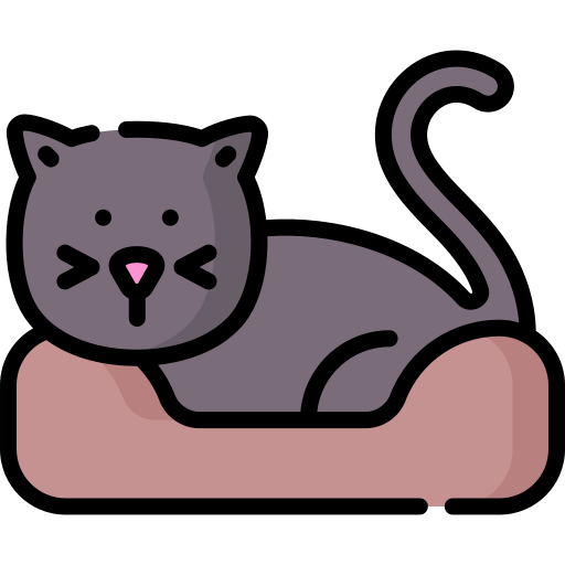 gatto Special Lineal color icona