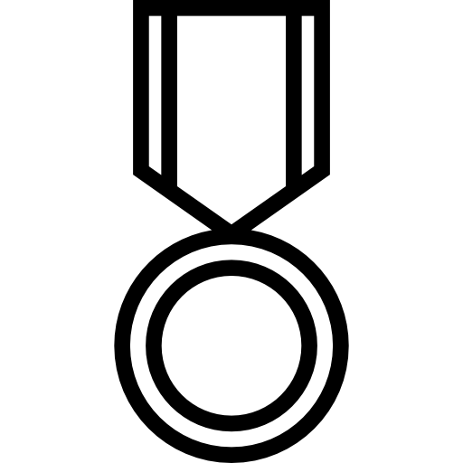 Militaty Medal Special Lineal icon