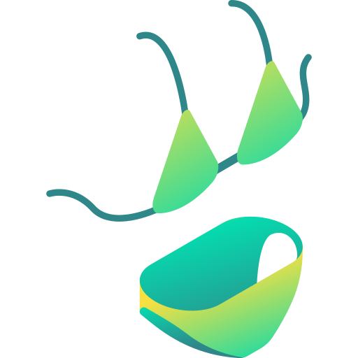 bikini Gradient Isometric Gradient icono