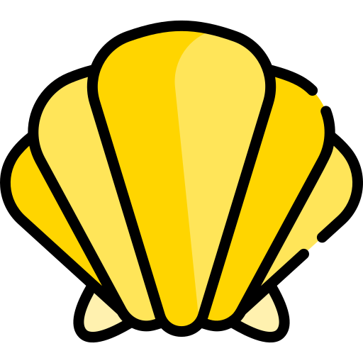 Shell Special Lineal color icon
