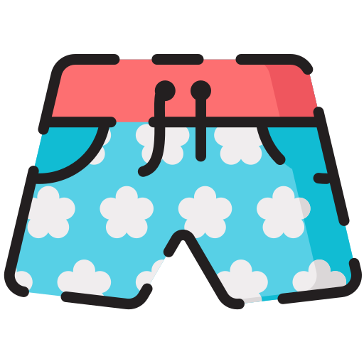 Shorts Generic Outline Color icon